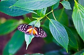 IMG_7856.jpg