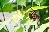 IMG_7863.jpg