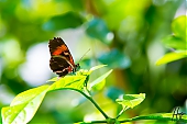 IMG_7873.jpg